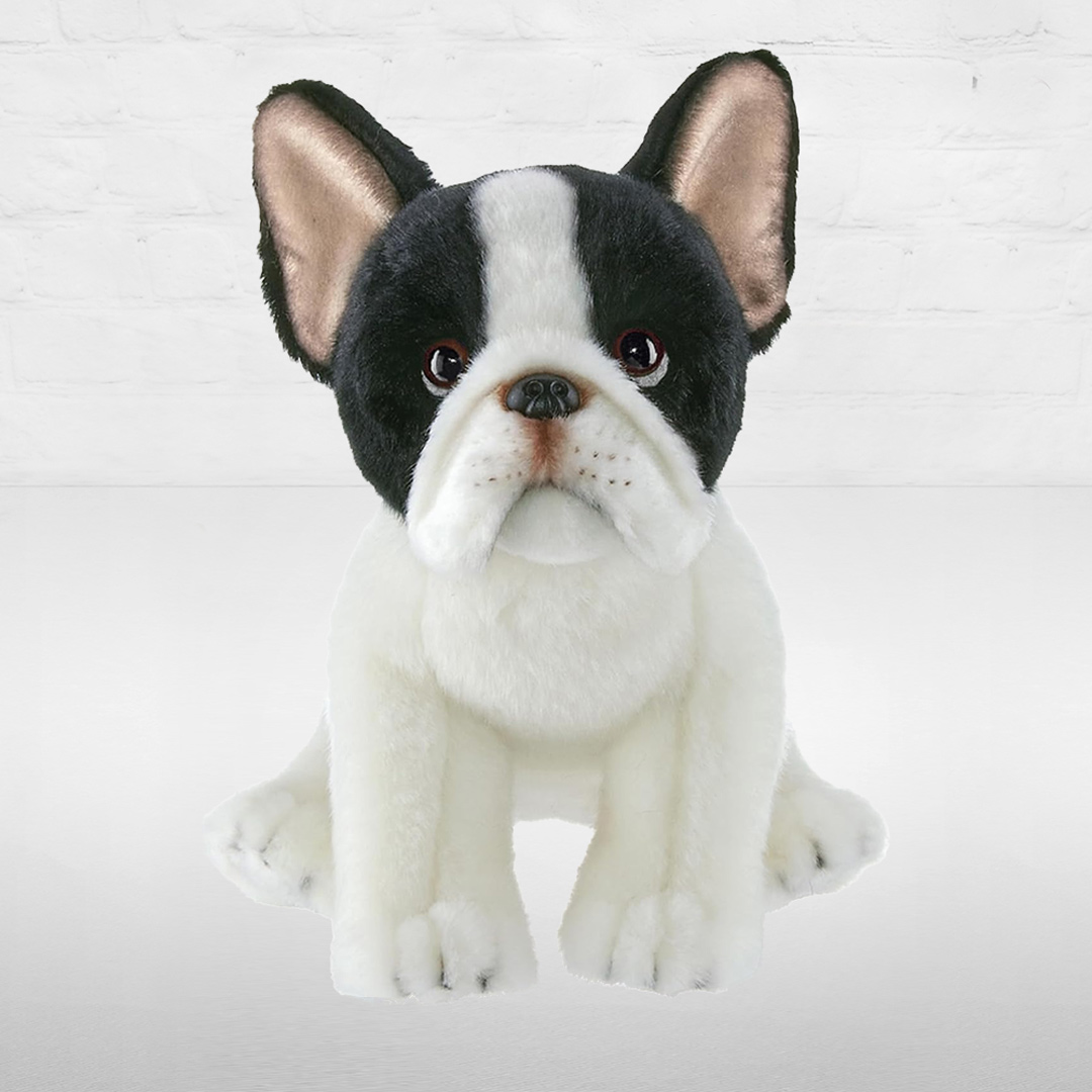Oliver The French Bulldog Plush Kelly s Flower Shop