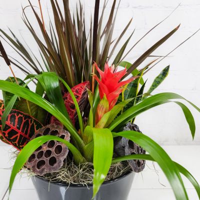 Fall Planter