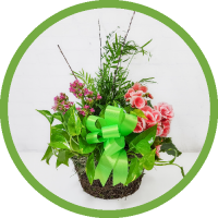 European Garden In Moss Basket - Small