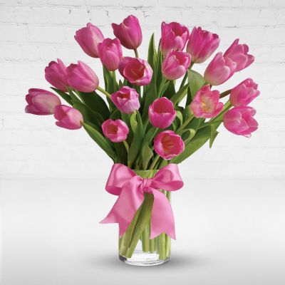 Precious Pink Tulips