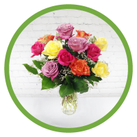 Super Colorful Dozen Roses - Valentine's Day Bouquet