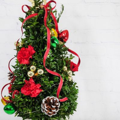 Around the Christmas Tree