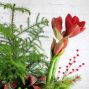 Christmas Planter