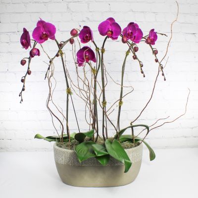 Cache Pot Orchidée Fuschia