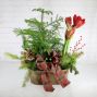 Christmas Planter
