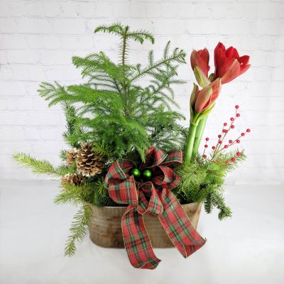 Christmas Planter