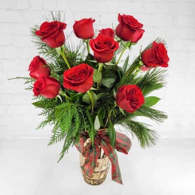 Christmas Roses