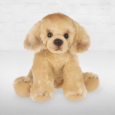 Goldie The Golden Retriever Plush