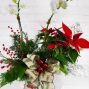 Holiday Orchid Planter With Red Poinsettia