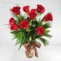 Christmas Roses
