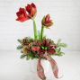 Amaryllis Bulb Planter