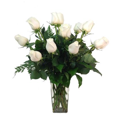 12 White Roses