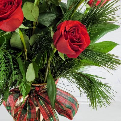 Christmas Roses