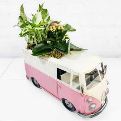 Planter “On the Go” - Valentine's Day Bouquet