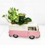 Planter “On the Go” - Valentine's Day Bouquet