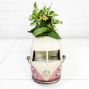 Planter “On the Go” - Valentine's Day Bouquet