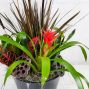 Fall Planter
