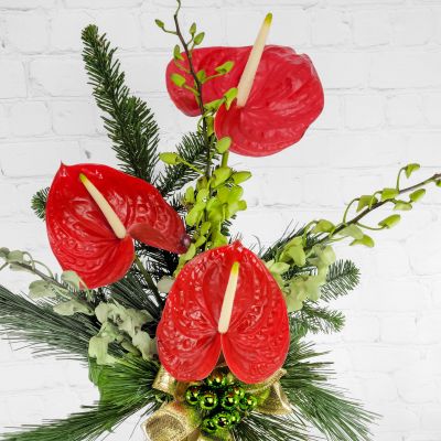 Tropical Christmas