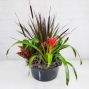 Fall Planter