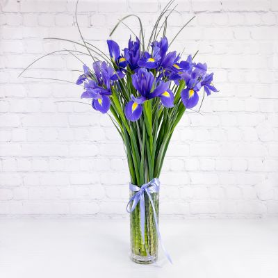 Iris Beauty