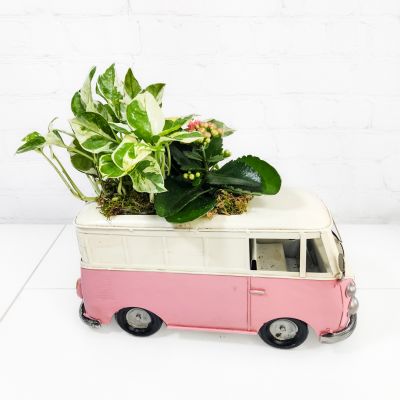 Planter “On the Go” - Valentine's Day Bouquet